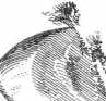 Abb.: Monolithische Denkmale
