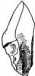 Tafel XI: Kap. 14, 16, 17, Fig. 182-211 ...