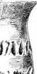 Taf. XIV: Fig. 242-256 (XIV)

