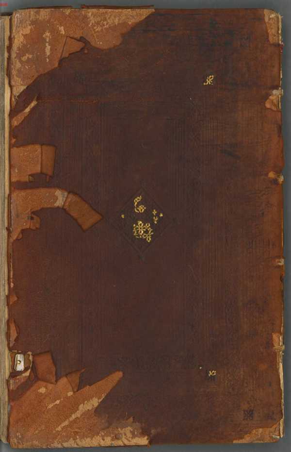 Rückdeckel (RD divbody)
 dans