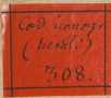 Vorderer Spiegel mit Exlibris des August...