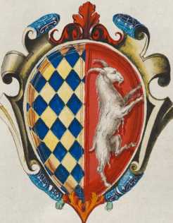 Abbildung