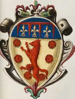 Familienwappen kleinerer Adelshäuser vo...