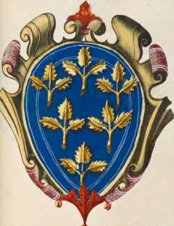 Familienwappen kleinerer Adelshäuser von Volterra ... from