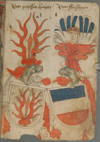 Wappen mit Bügelhelm (30r )
