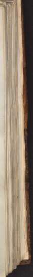Miniatur 31 (20)
