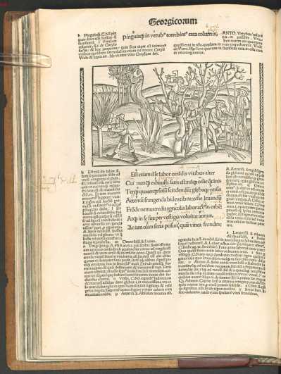 VP 1502 Pict. 029 de