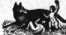 S. 314 Inserate (314)
