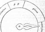 S. 664 Vermischtes (664)

