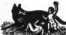 S. 388 Inserate (388)
