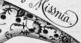 S. 310 Inserate (310)
