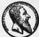 S. 82 Inserate (82)
