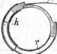S. 239 [Gebrauchs-Muster, Fortsetzung vo...