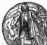 S. 236 Inserate (236)

