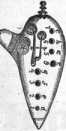 S. 494 Inserate  (494)
