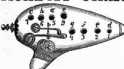 S. 394 Inserate (394)
