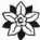S. 214 Inserate (214)
