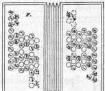 S. 411 [Gebrauchs-Muster, Fortsetzung vo...