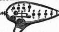 S. 116 Inserate (116)
