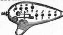 S. 444 Inserate (444)
