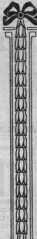 S. 345 Inserate (345)
