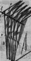 S. 903 [Waren-Zeichen, fort 901]Illustr....