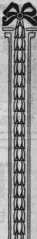 S. 231 Inserate (231)
