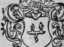 S. 307 Inserate (307)
