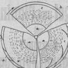 S. 465 [Patent-Nachrichten, Fortsetzung ...