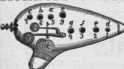 S. 564 Inserate (564)
