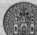 S. 982 Inserate (982)
