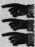 S. 294 Inserate (294)
