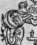 S. 231 Inserate (241)
