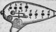 S. 252 Inserate (252)
