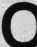S. 366 Inserate (366)
