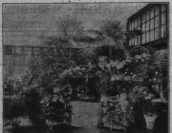 S. [U1] Umschlag Heft No. 30Inserate (U1...