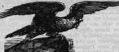 S. 172 Inserate  (172)
