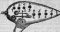 S. 844 Inserate  (844)
