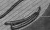 S. 1186 Inserate  (1186)
