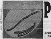 S. 1268 Inserate  (1268)
