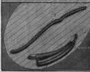 S. 1466 Inserate (1466)
