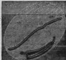 S. 116 Inserate (116)
