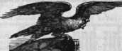 S. 320 Inserate (320)
