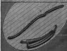 S. 750 Inserate (750)
