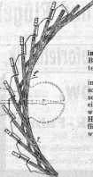 S. 91 [Vermischtes, Fortsetzung von S. 8...