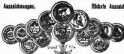 S. 594 Inserate (594)
