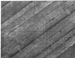 S. 961 Die Wechselkoppel (961)
