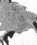 S. 306 Inserate (306)
