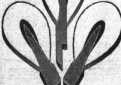 S. 1570 Inserate (1570)
