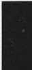 S. 81 Inserate  (81)
